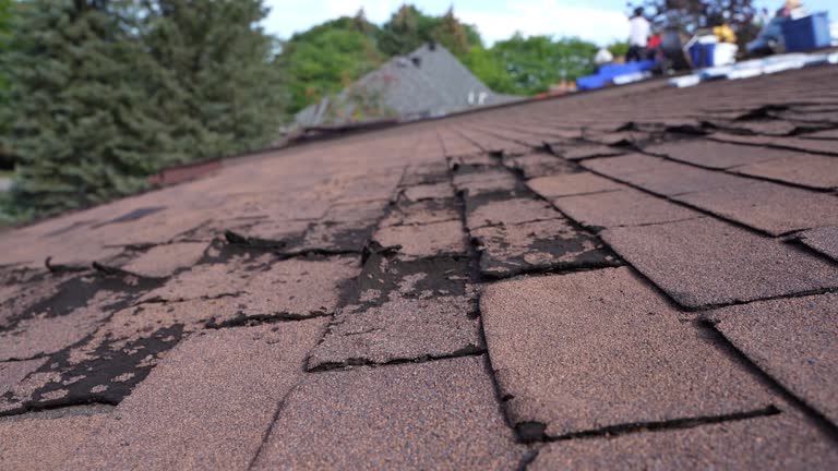 Best Emergency Roof Repair Services  in Lake Success, NY